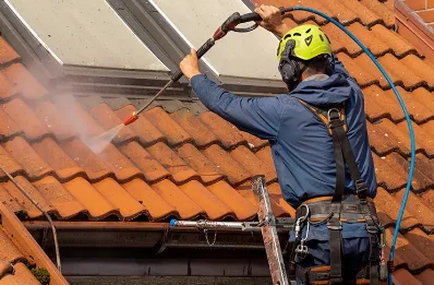 Démoussage et hydrofuge de toiture à Rempnat